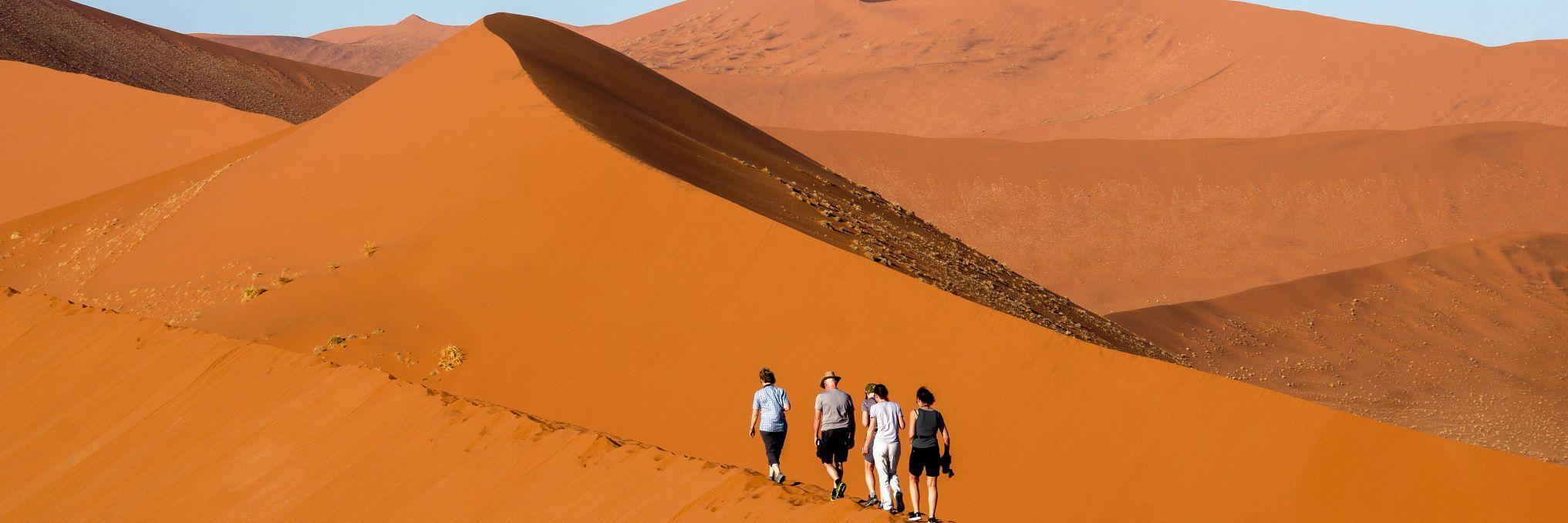 Epic Adventures Await in Namibia & South Africa - background banner